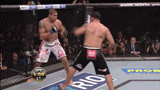 【UFC巴西军团】一套带走!Nogueira(大牛头)VS Schaub(斯查布)【UFC134期】